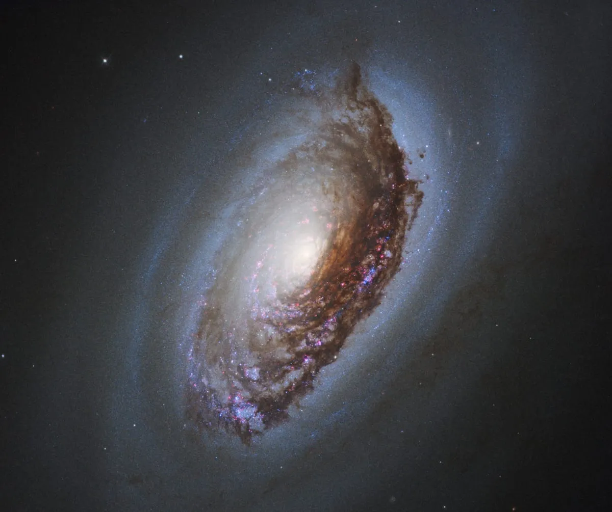 The Black Eye Galaxy
