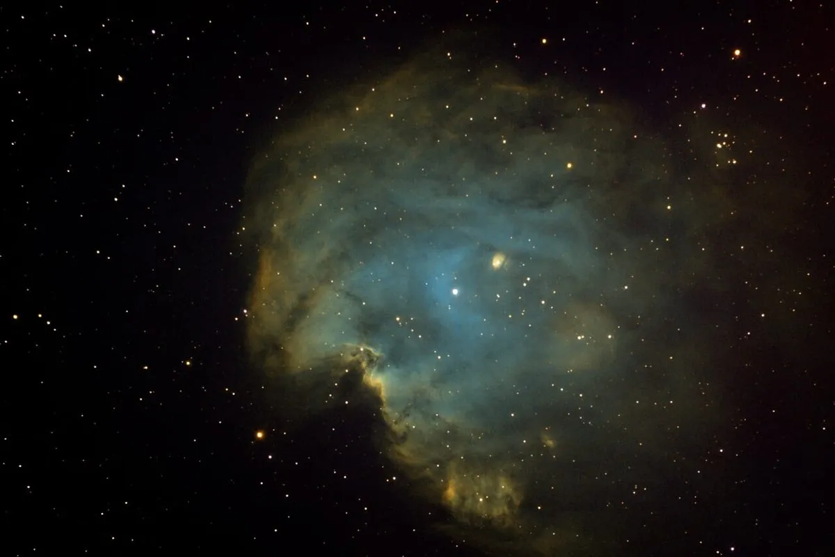 The Monkey Head Nebula