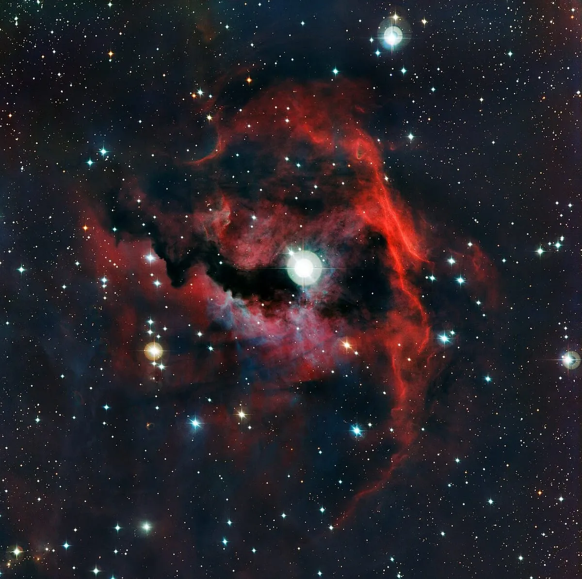 The Seagull Nebula