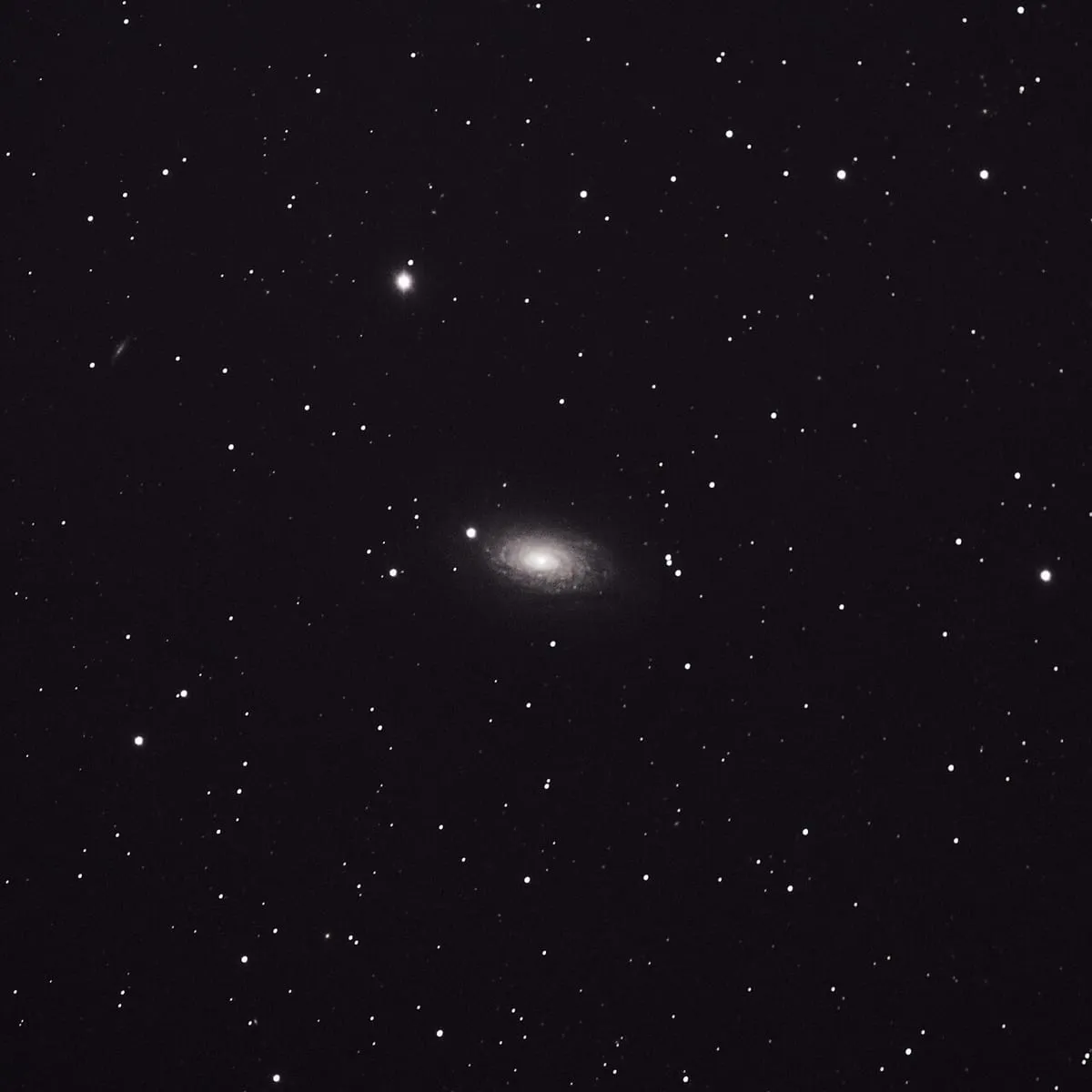 The Sunflower Galaxy
