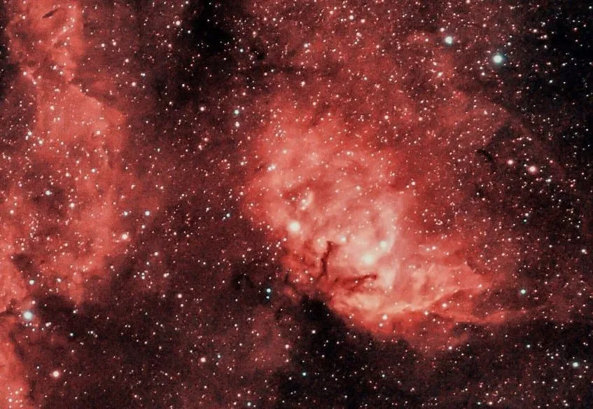 The Tulip Nebula
